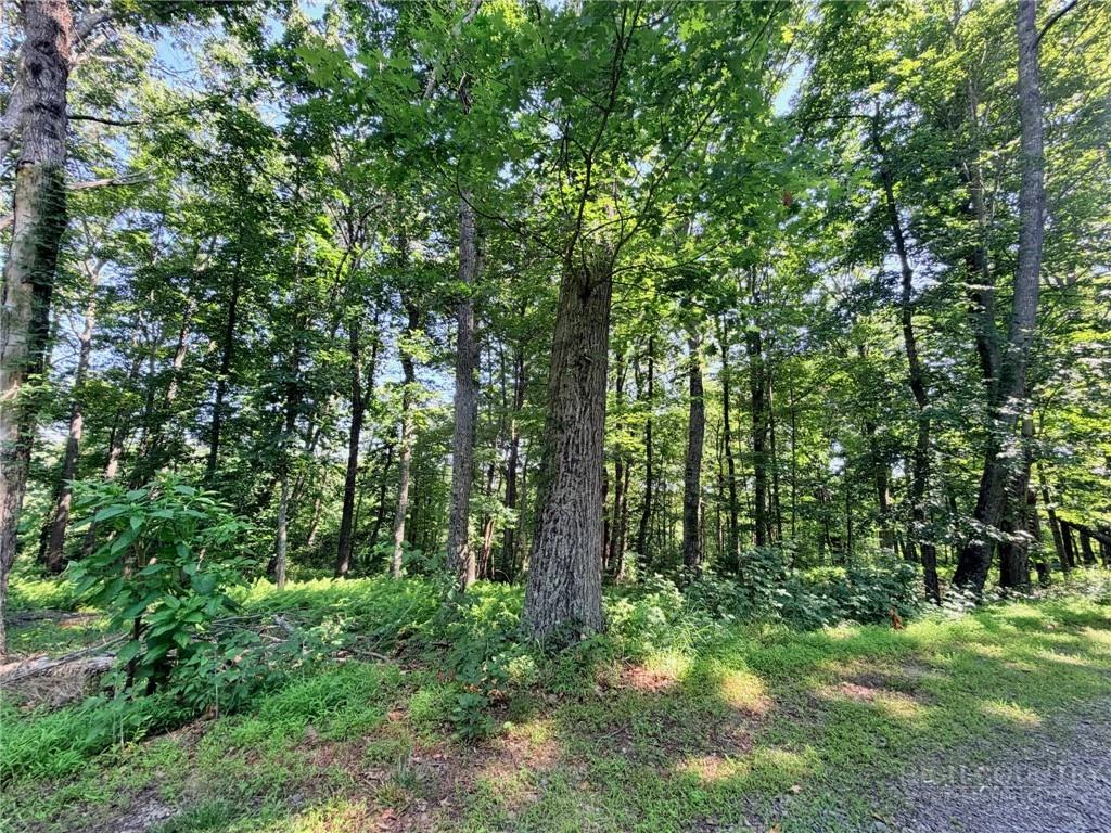 Image number 20 for the current listing