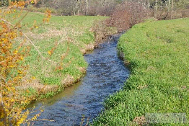 Image number 2 for the current listing