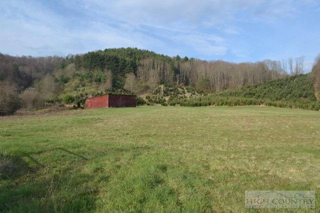 Image number 8 for the current listing