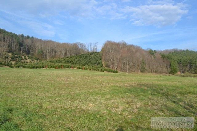 Image number 7 for the current listing