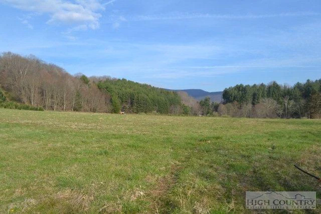 Image number 6 for the current listing