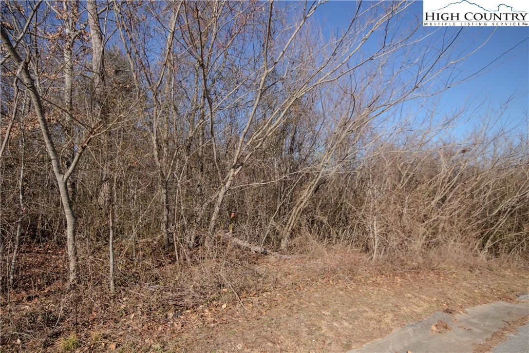 Image number 1 for the current listing