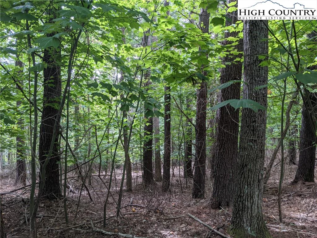 Image number 18 for the current listing