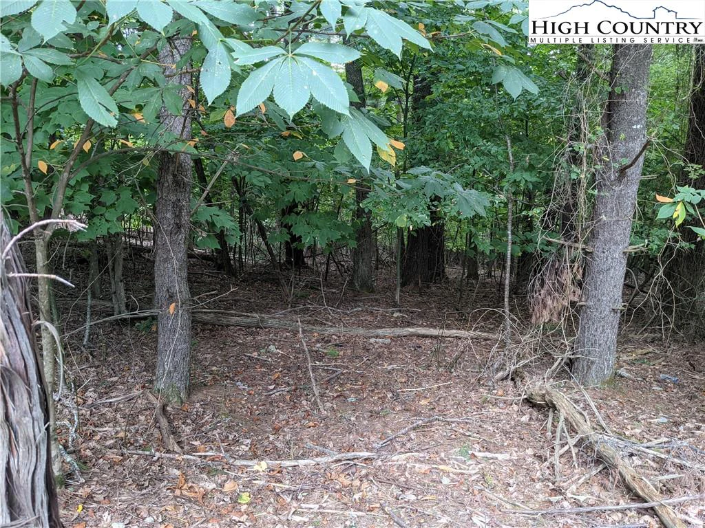 Image number 17 for the current listing