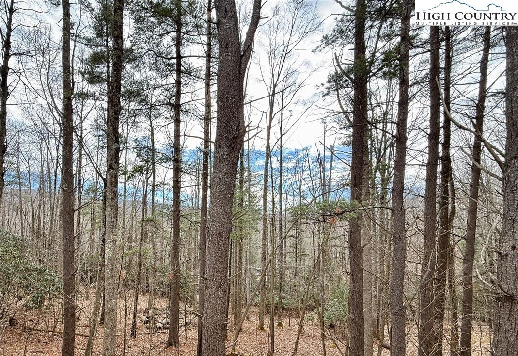 Image number 1 for the current listing