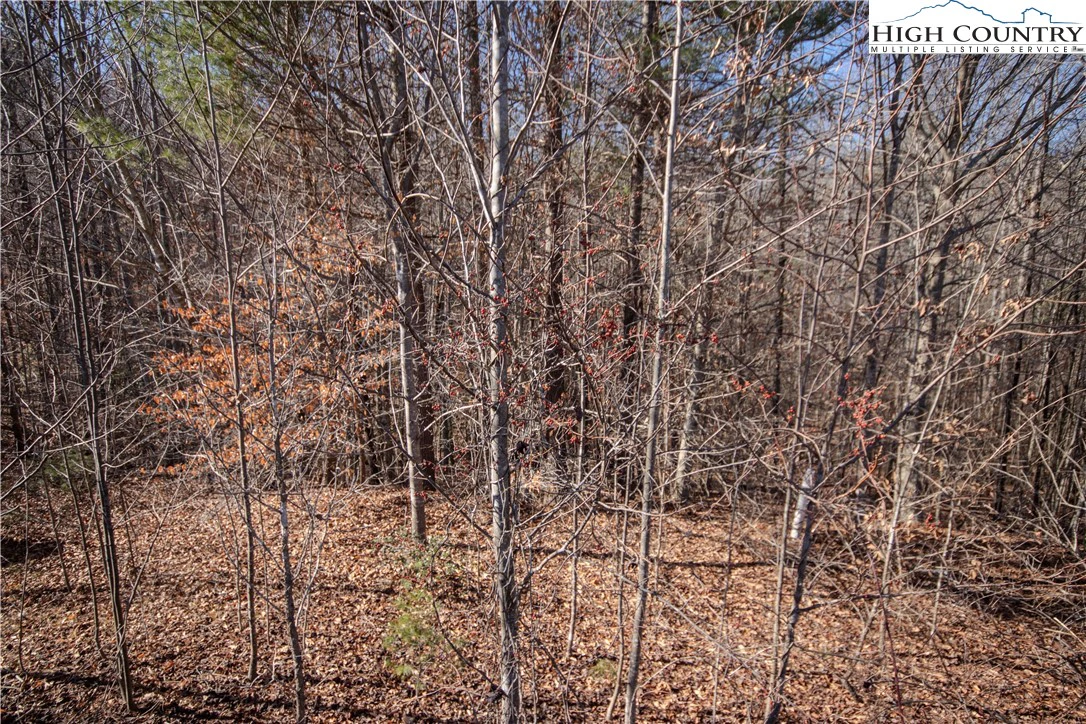 Image number 1 for the current listing