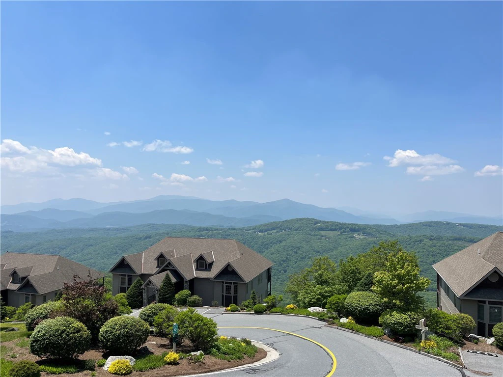Image number 1 for the current listing