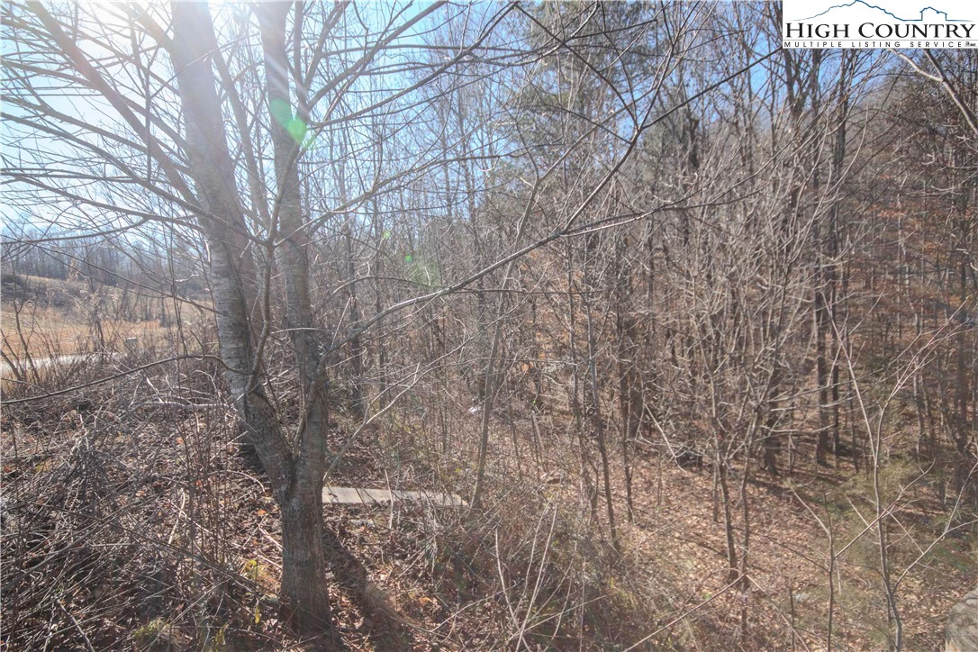 Image number 1 for the current listing