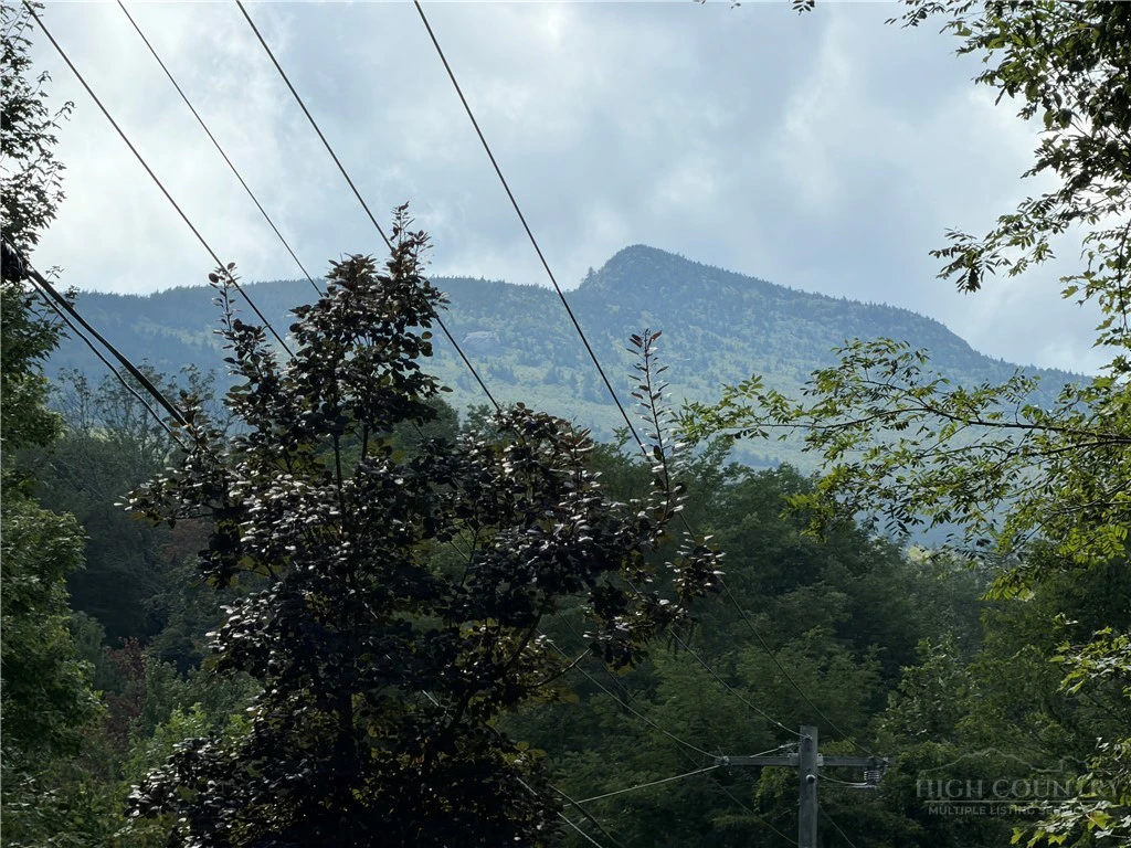 Image number 4 for the current listing