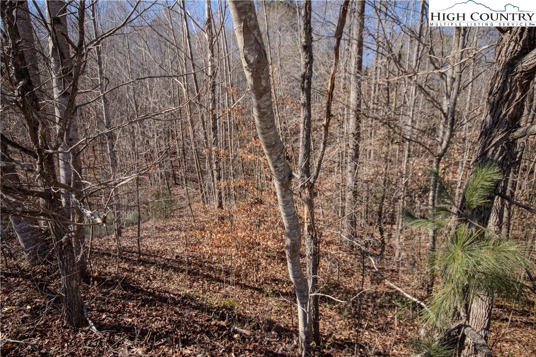 Image number 1 for the current listing