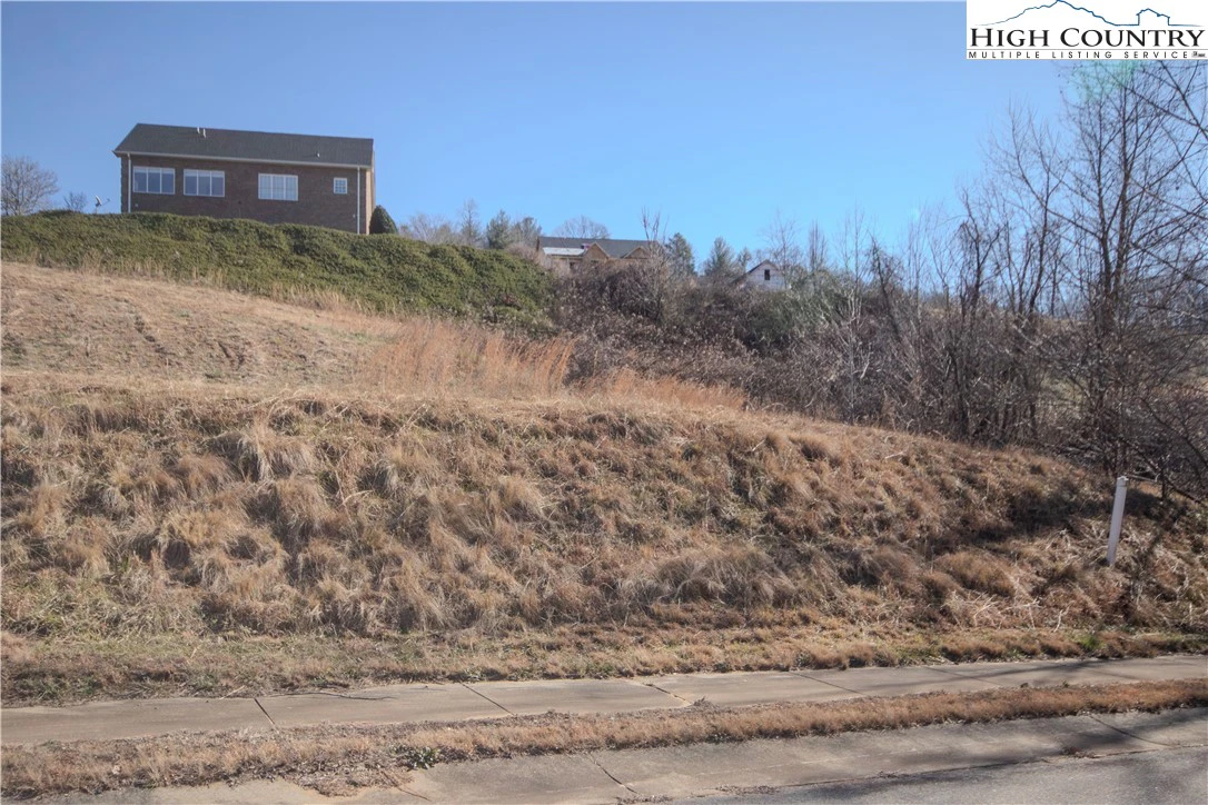 Image number 1 for the current listing