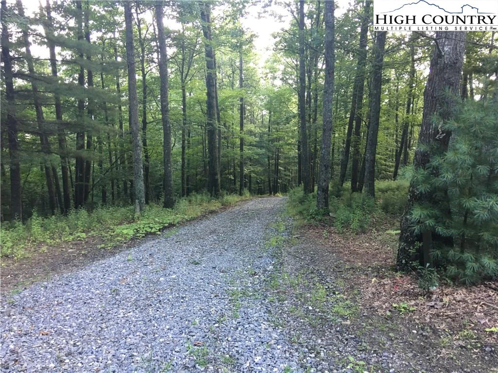 Image number 8 for the current listing
