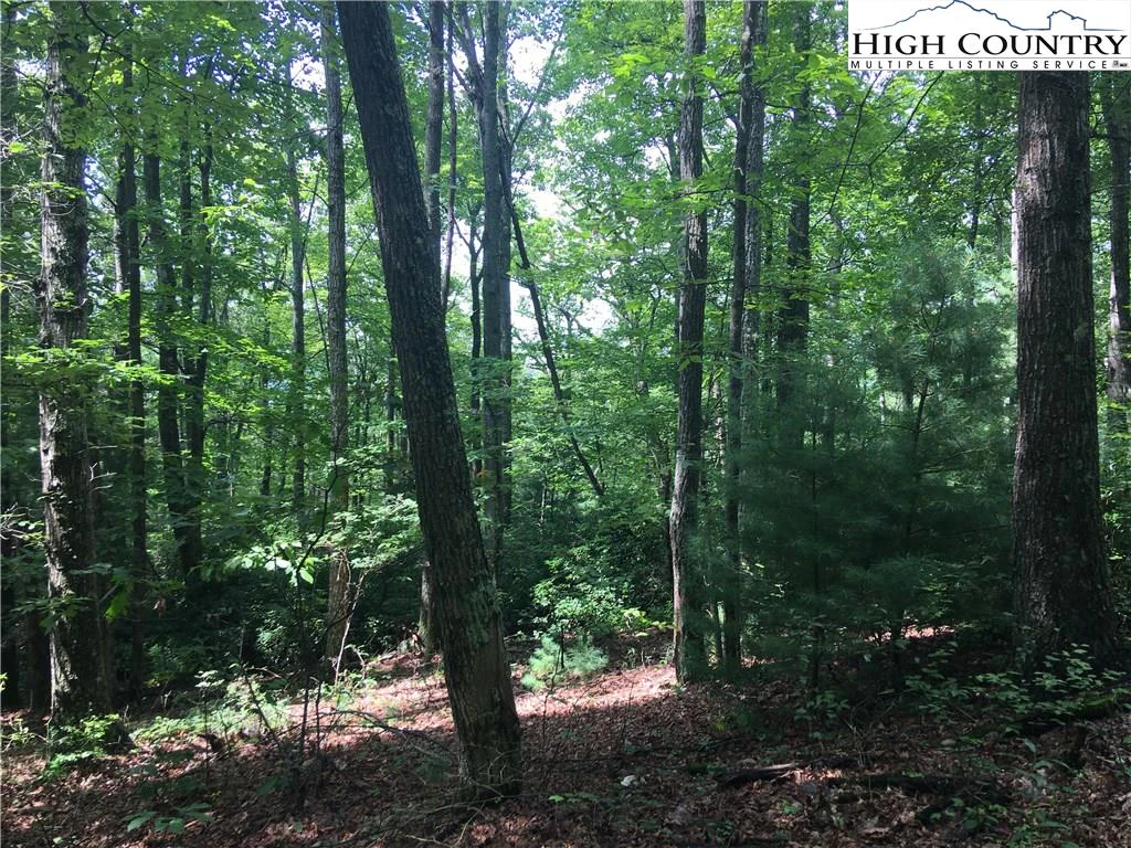 Image number 14 for the current listing
