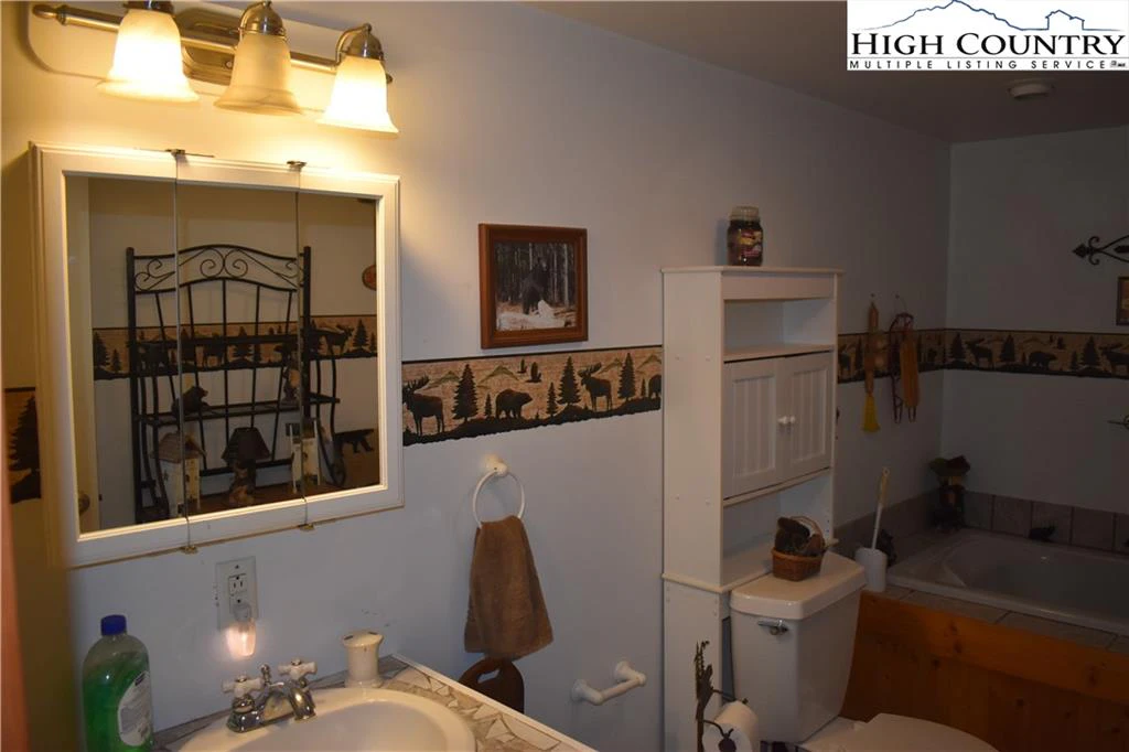 Image number 2 for the current listing
