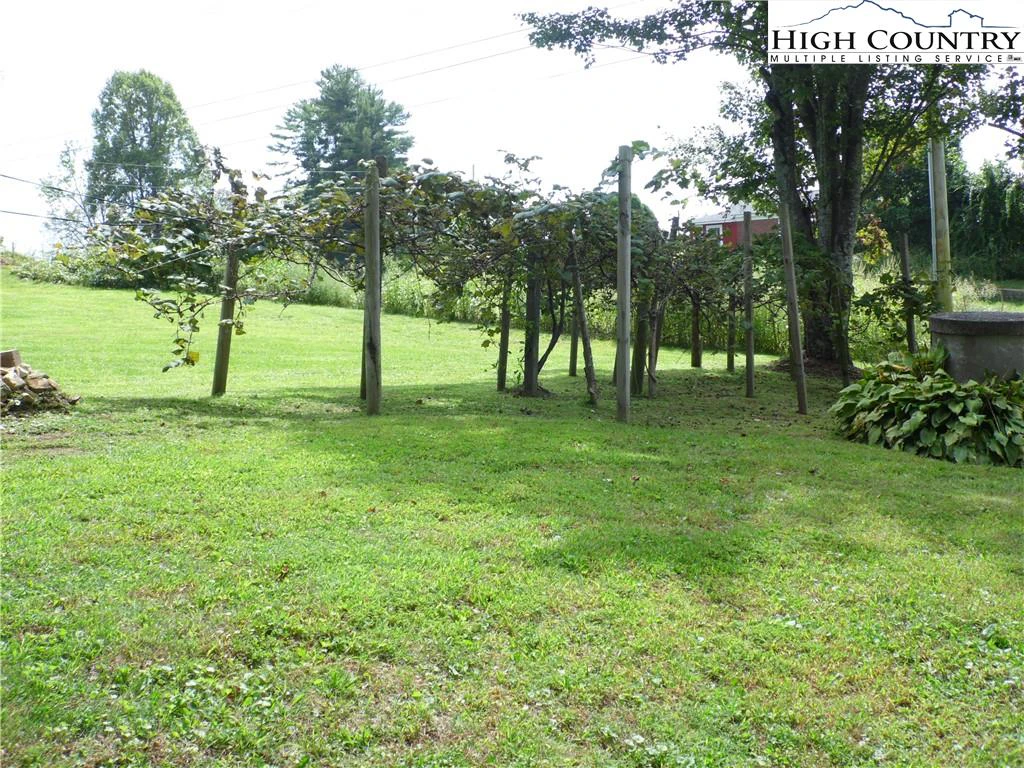 Image number 15 for the current listing