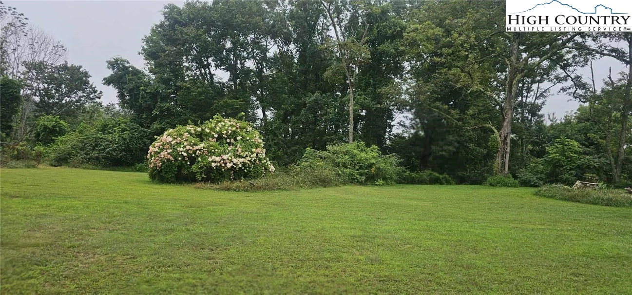 Image number 8 for the current listing