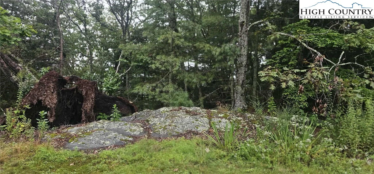 Image number 5 for the current listing
