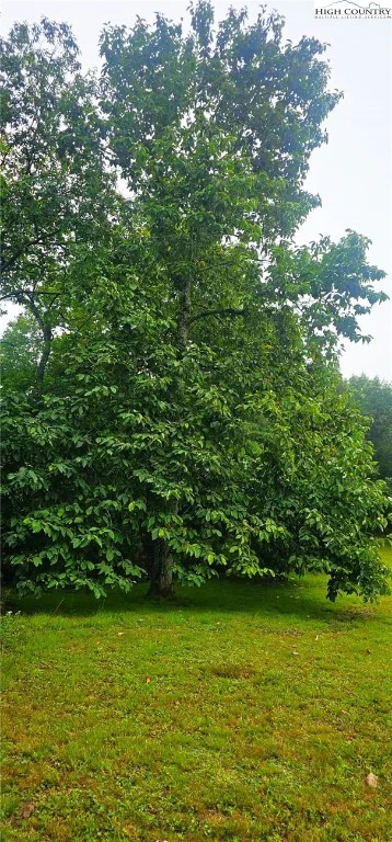Image number 4 for the current listing