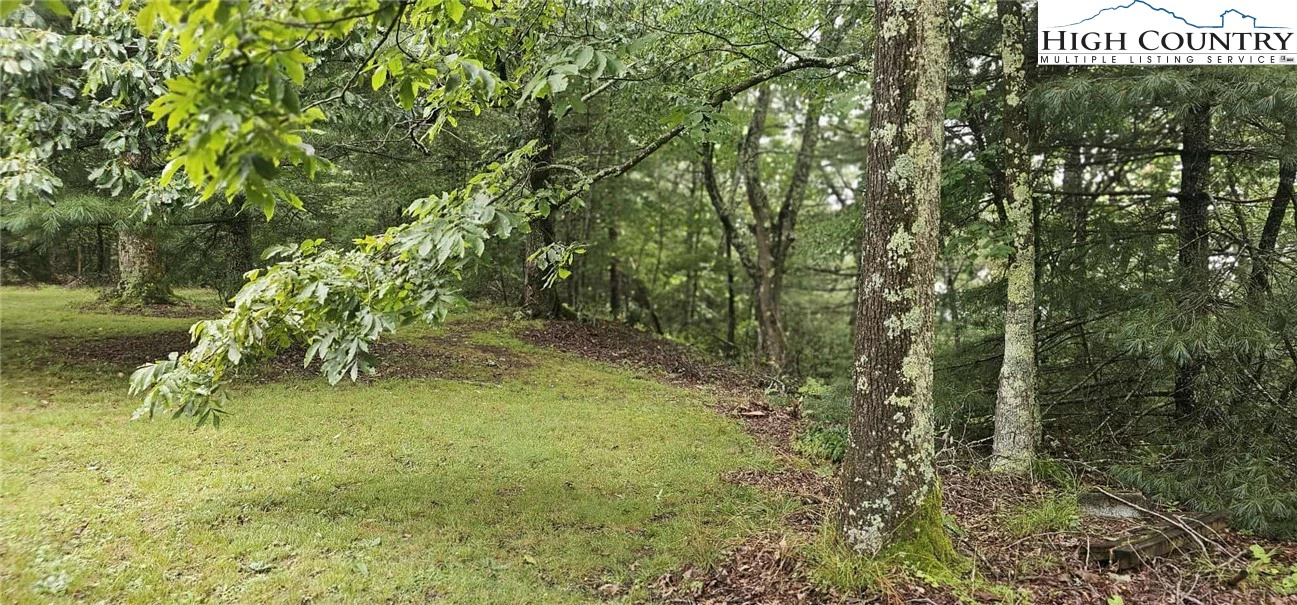 Image number 3 for the current listing