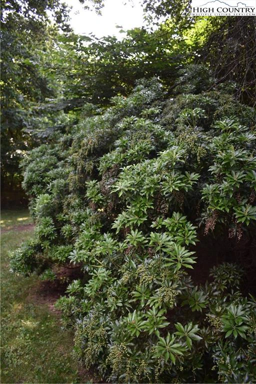 Image number 5 for the current listing