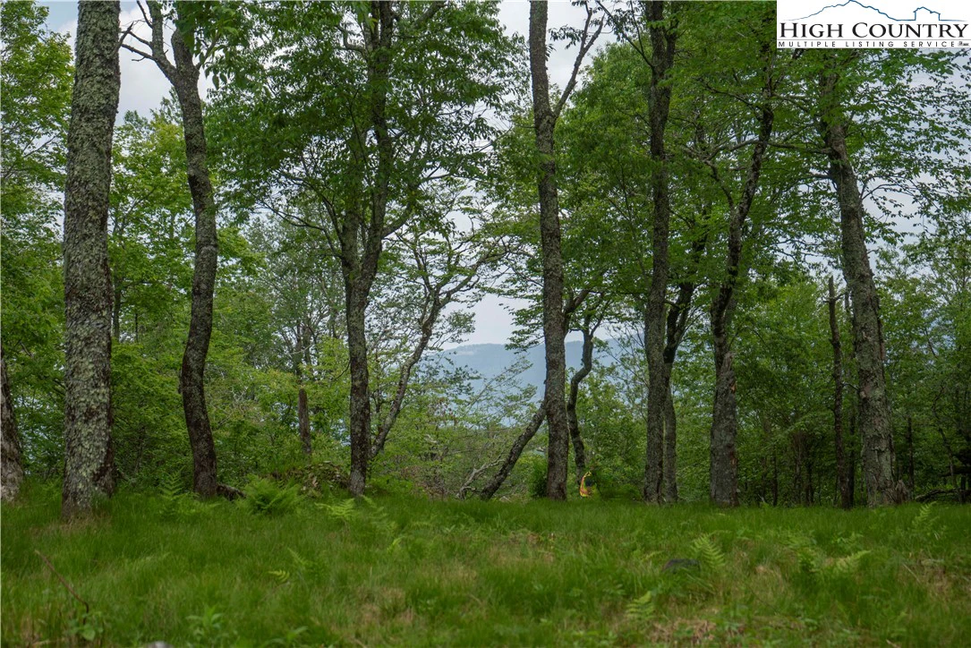 Image number 1 for the current listing