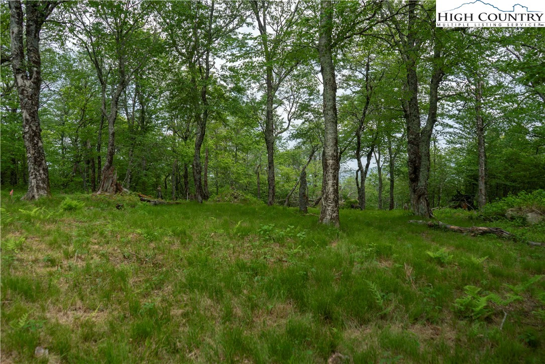 Image number 3 for the current listing