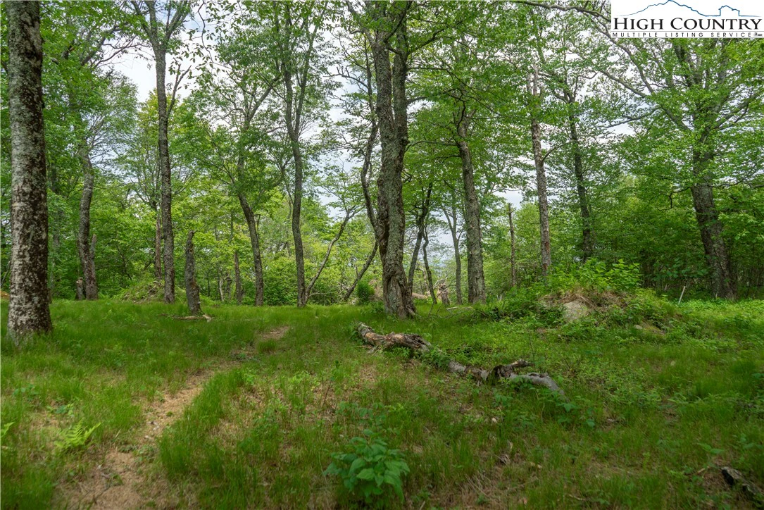 Image number 4 for the current listing