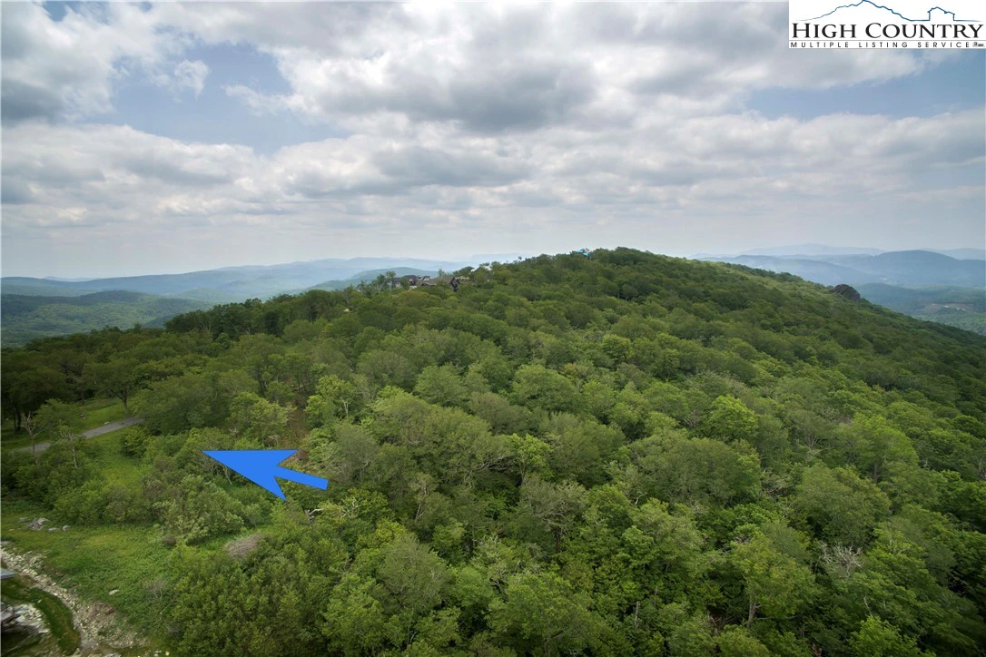 Image number 7 for the current listing