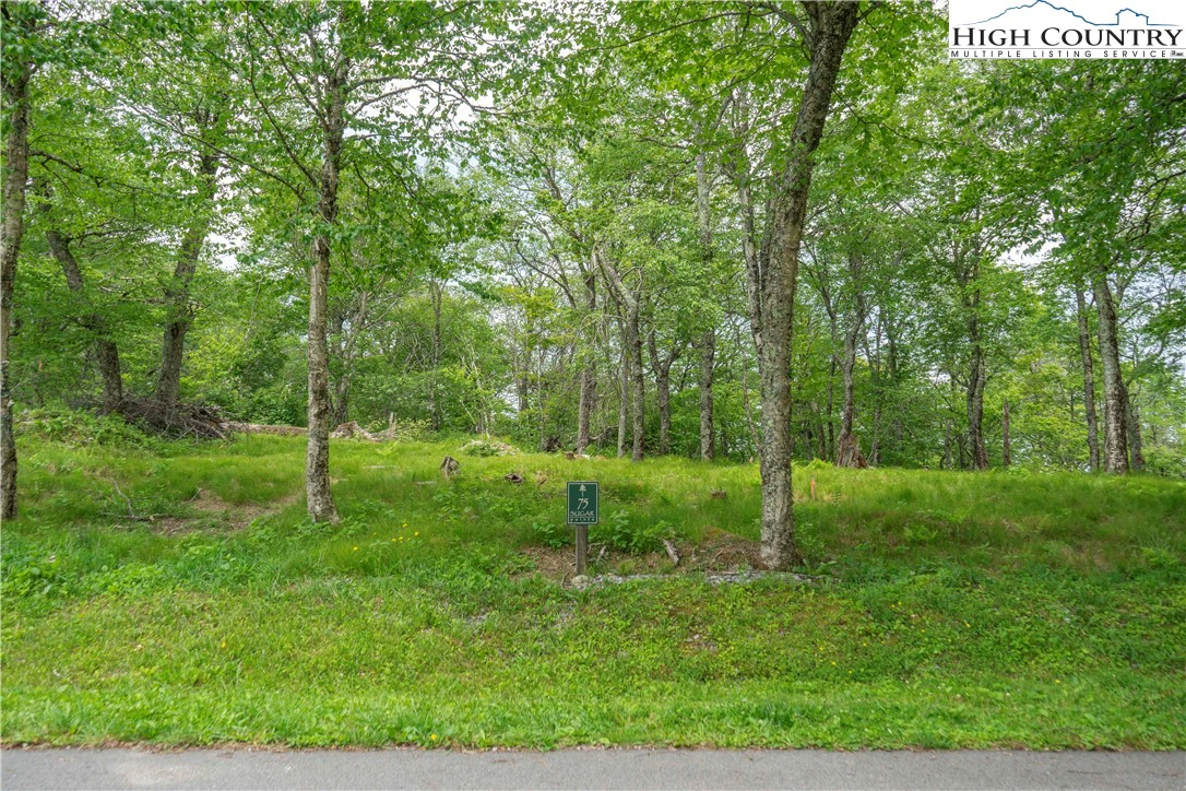 Image number 9 for the current listing