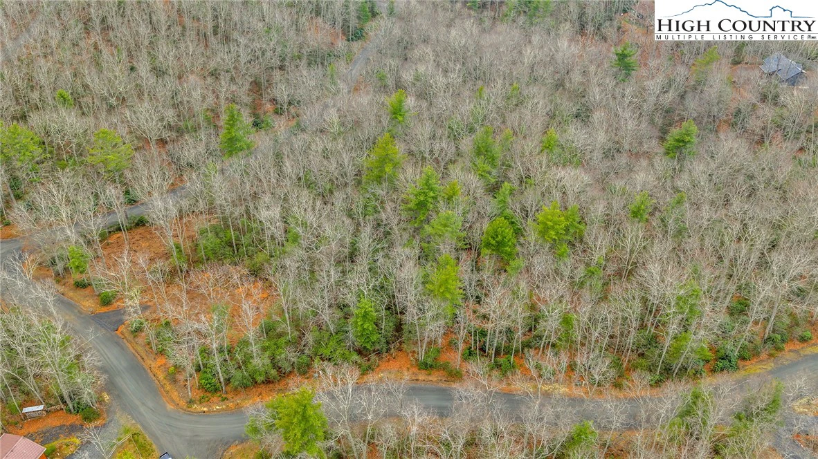 Image number 5 for the current listing