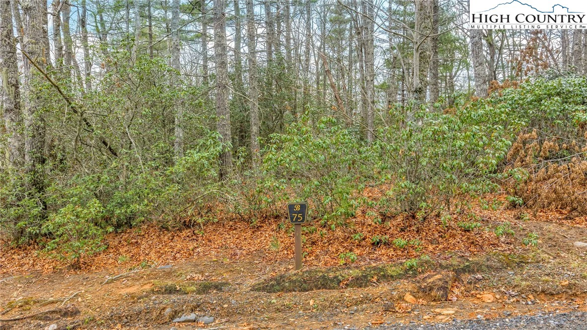 Image number 12 for the current listing