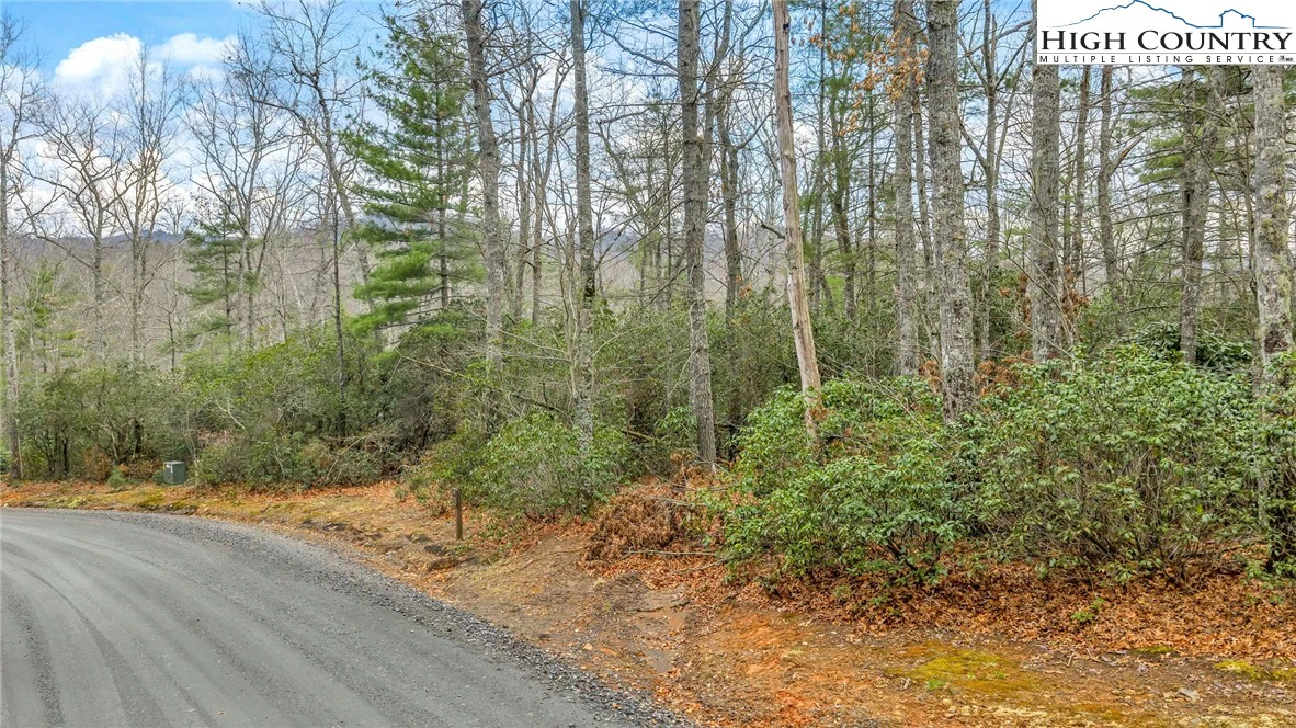 Image number 1 for the current listing
