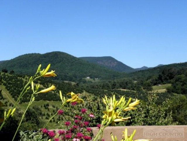 Image number 9 for the current listing