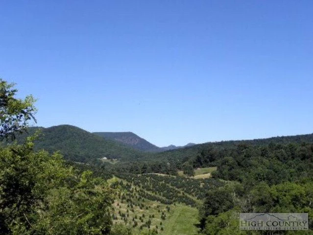Image number 7 for the current listing