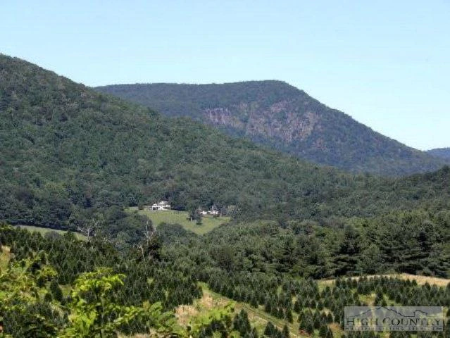 Image number 6 for the current listing