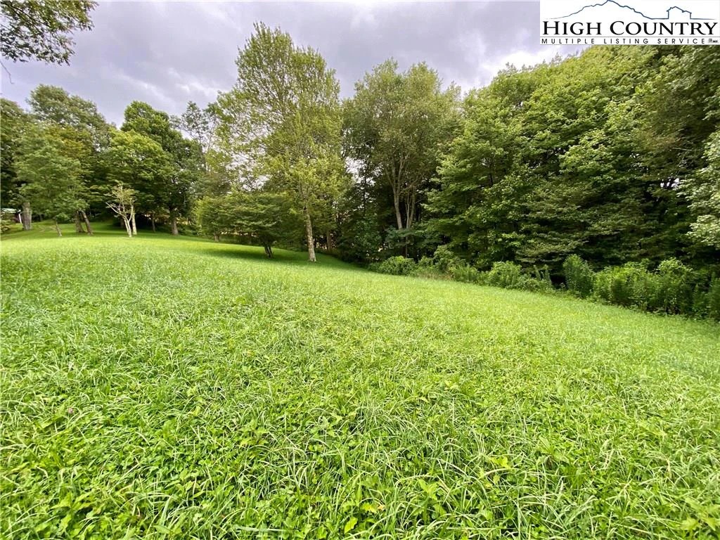 Image number 4 for the current listing