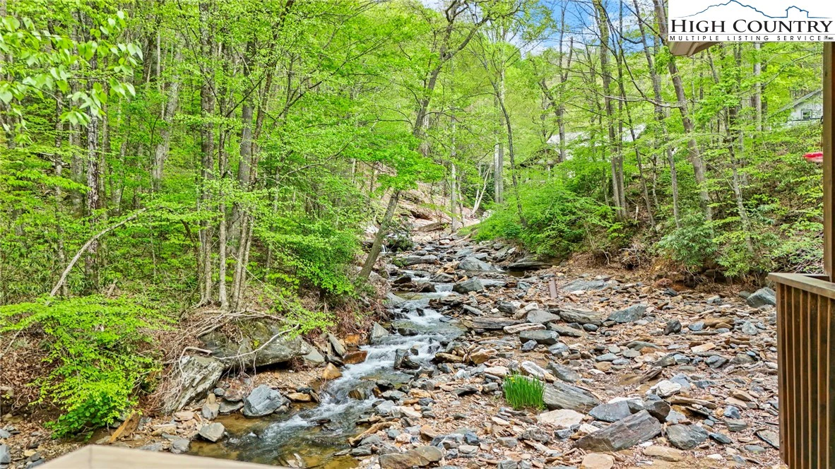 Image number 5 for the current listing