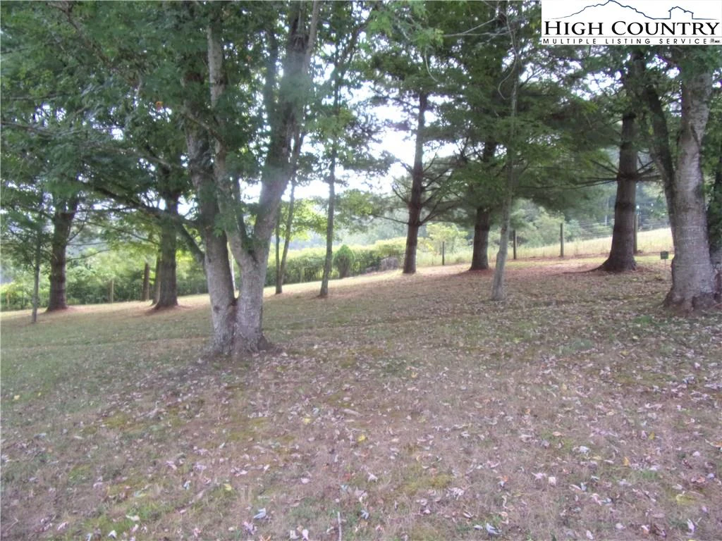 Image number 12 for the current listing