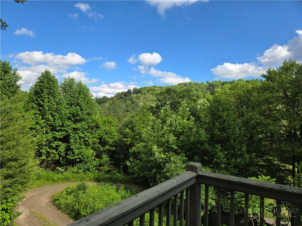 Image number 2 for the current listing