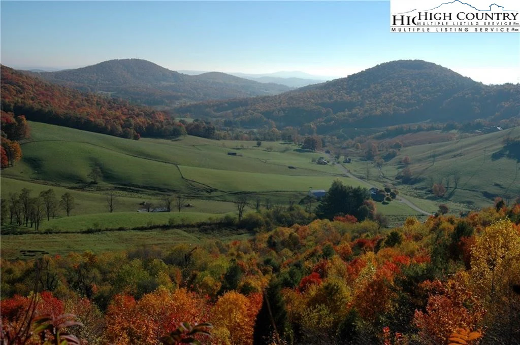 Image number 1 for the current listing