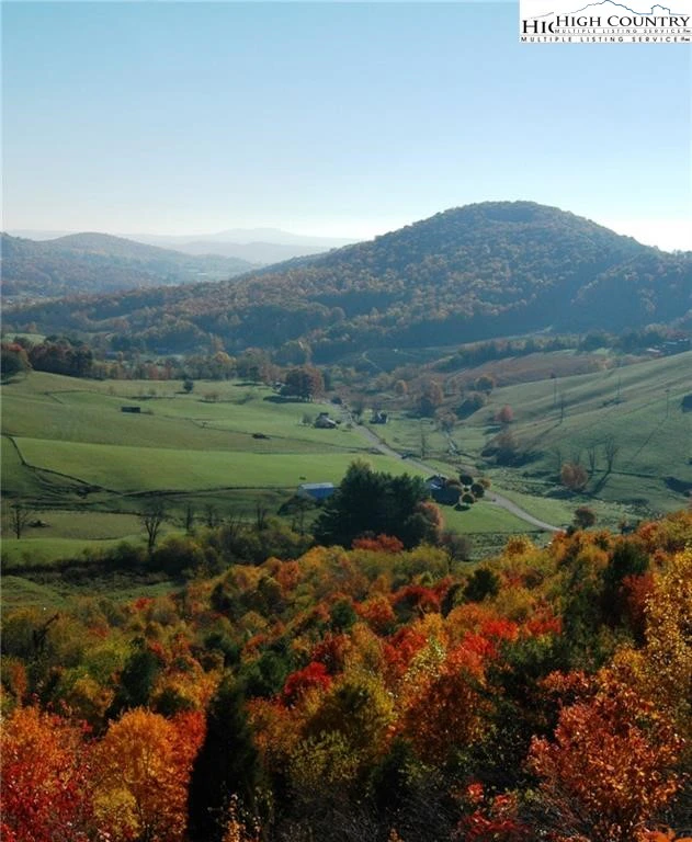 Image number 4 for the current listing