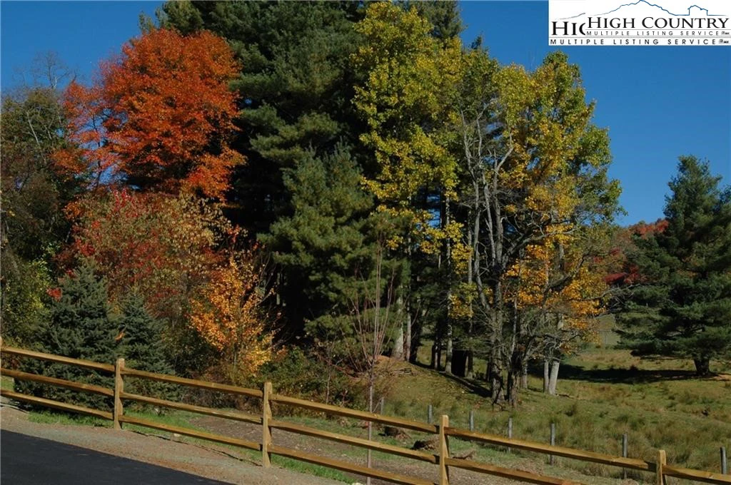 Image number 12 for the current listing