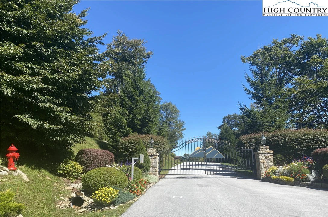 Image number 1 for the current listing