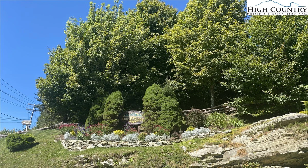 Image number 3 for the current listing
