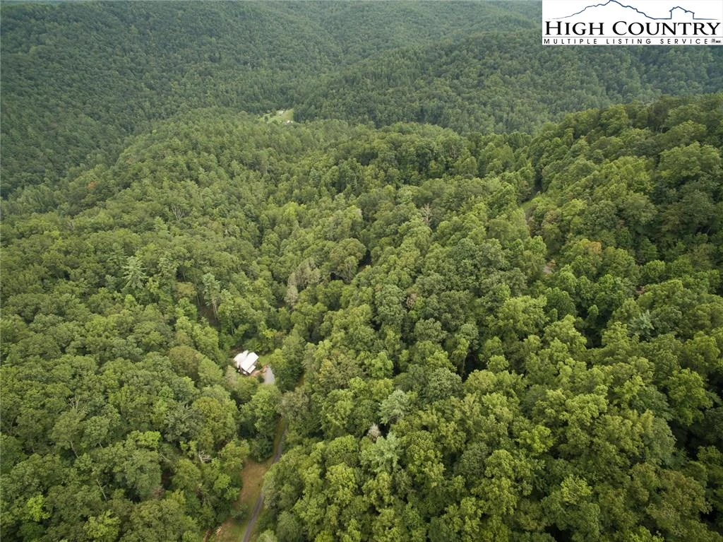 Image number 13 for the current listing