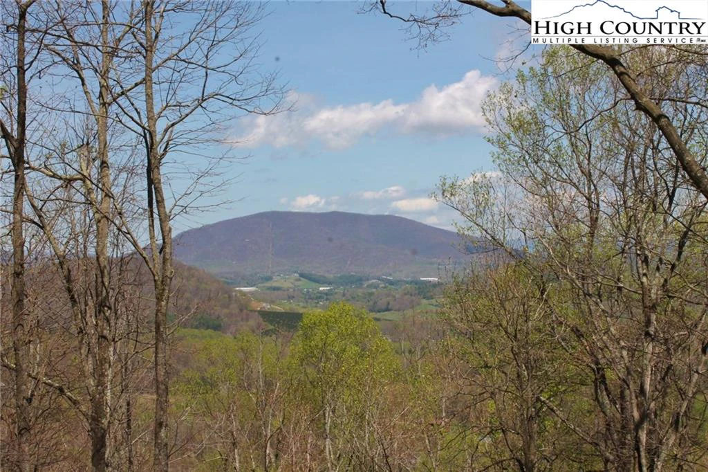 Image number 11 for the current listing