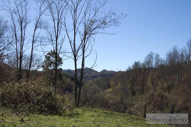 Image number 3 for the current listing