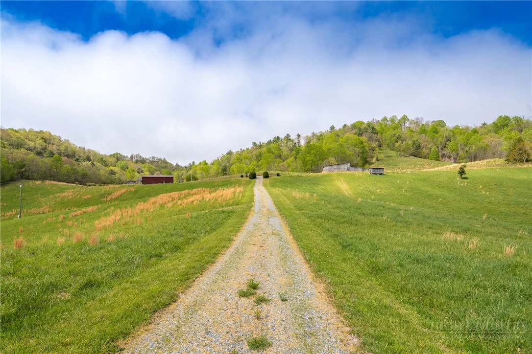 Image number 5 for the current listing