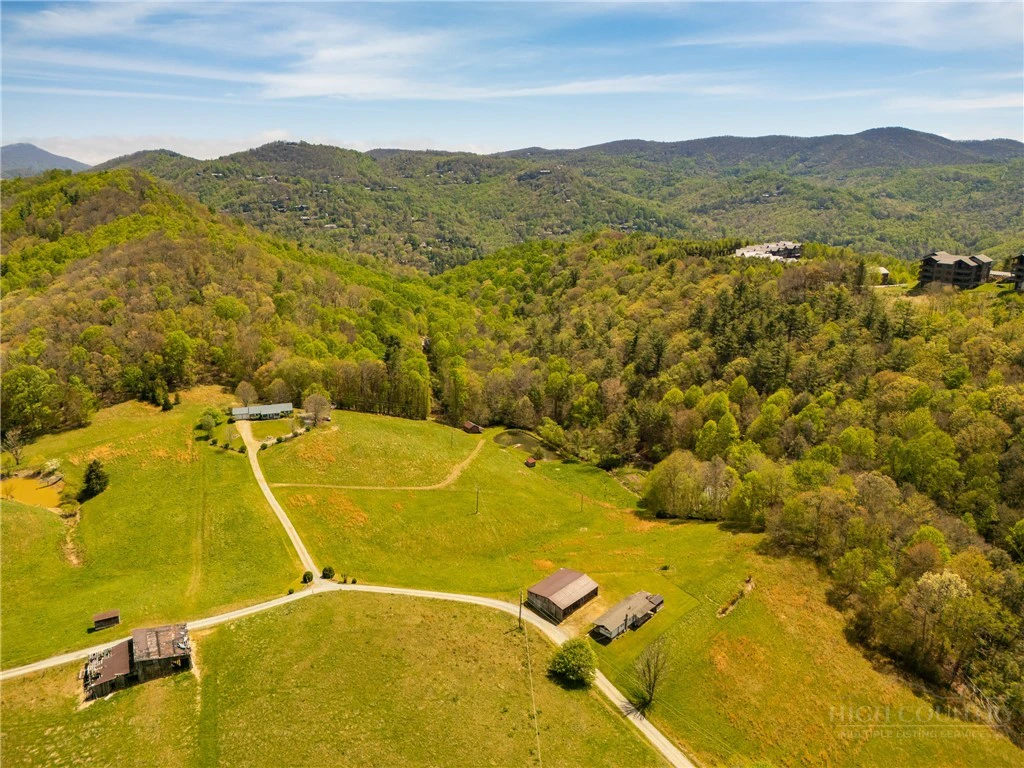 Image number 4 for the current listing