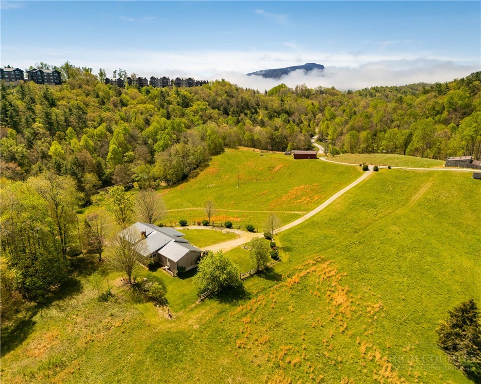 Image number 3 for the current listing